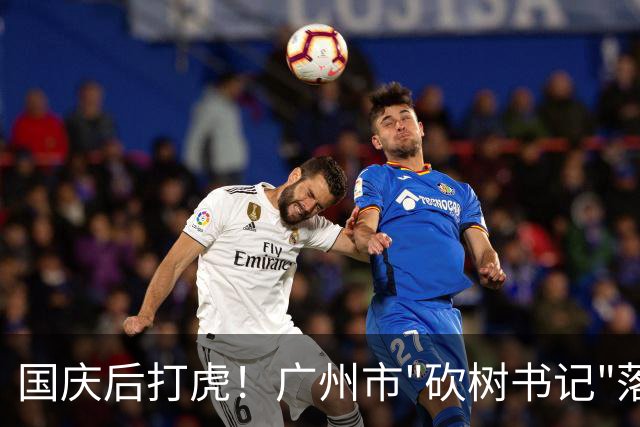 国庆后打虎！广州市"砍树书记"落马！广东省人大常委会副主任张硕辅被查